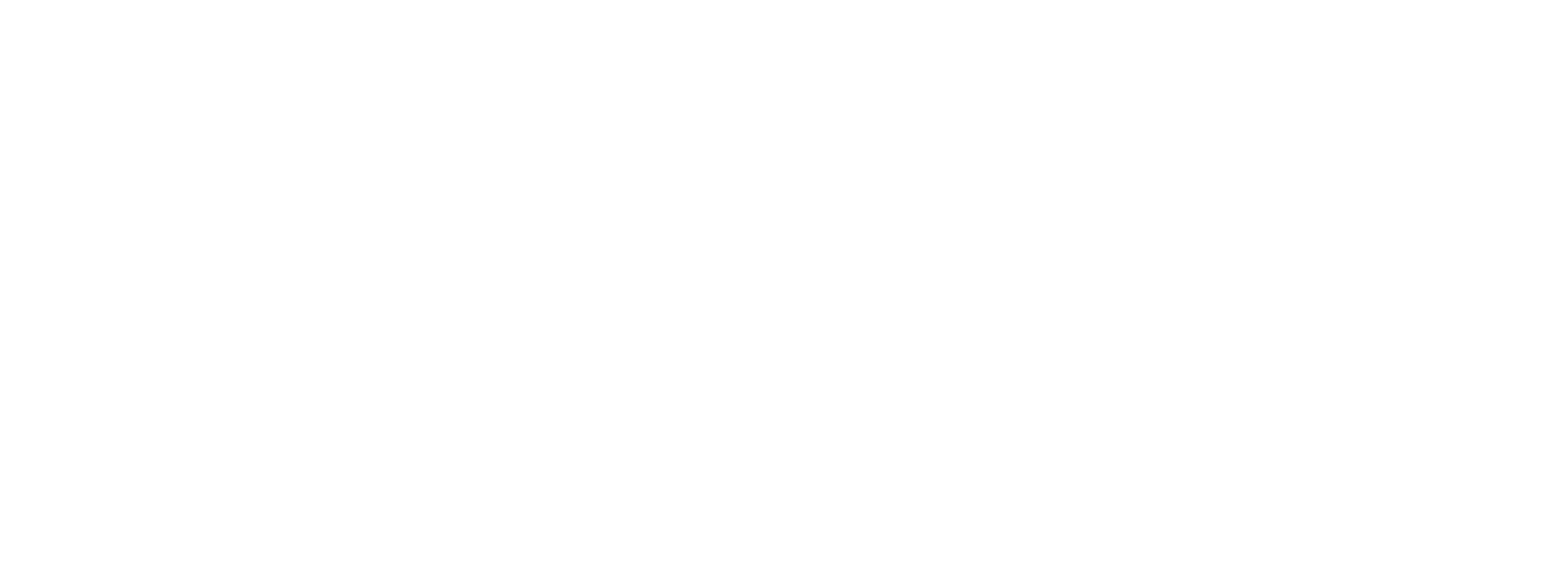 new_hor_logo_wht